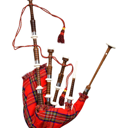 Full Size Rosewood Bagpipe with Box | Royal Stewart